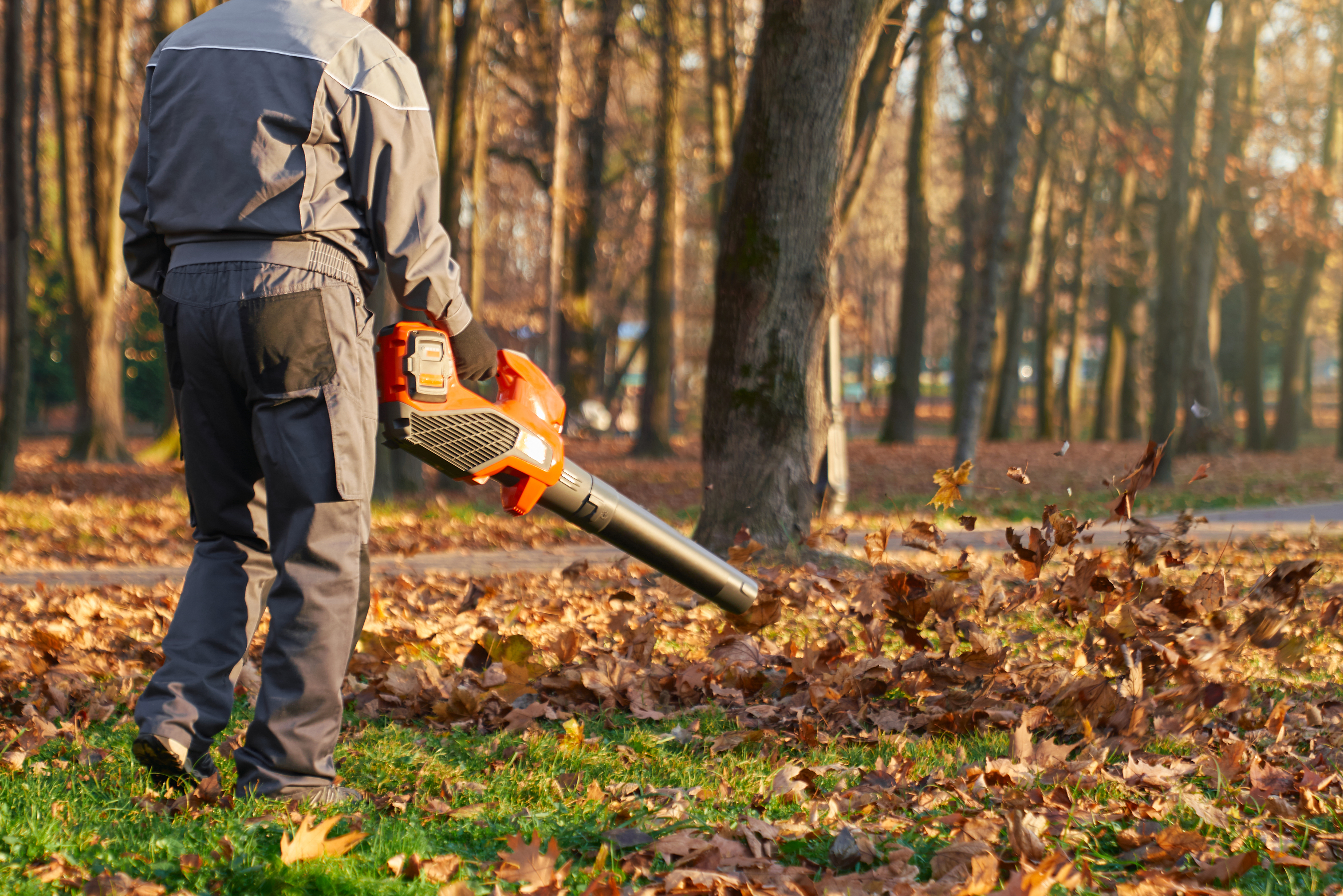 Fall Cleanup