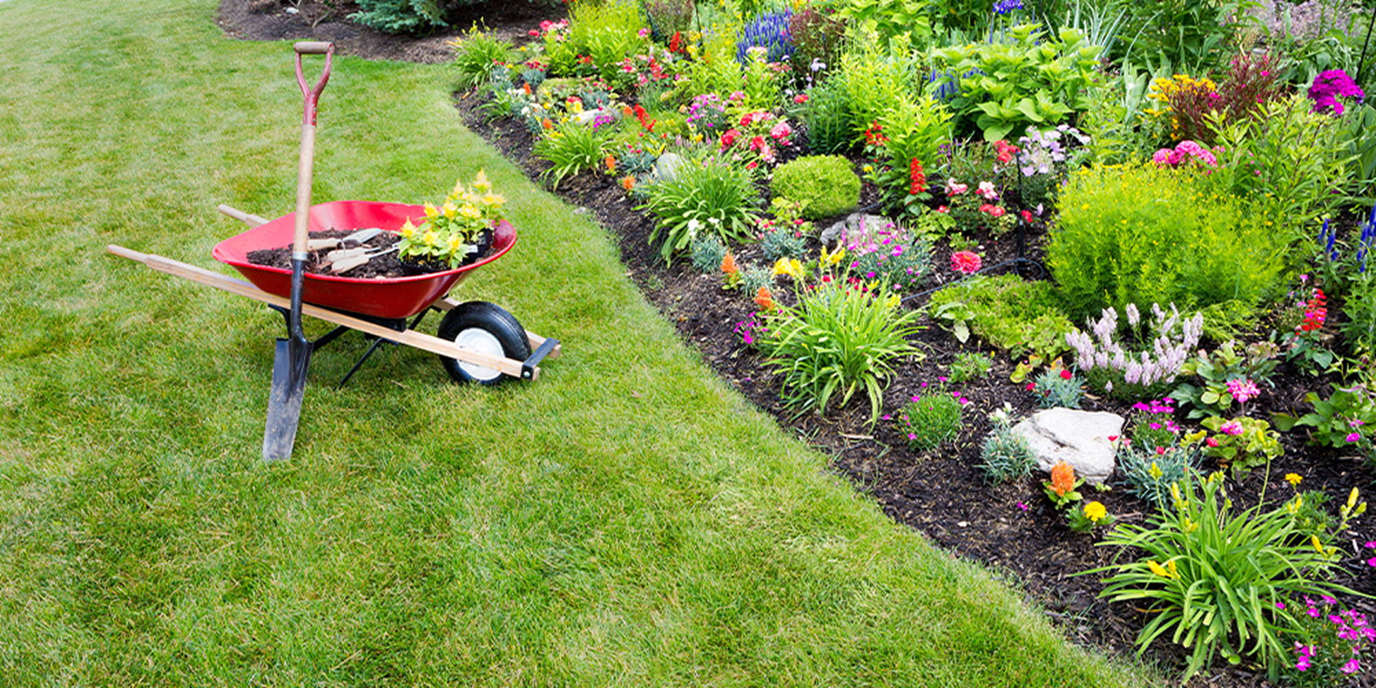 Spring Cleanup